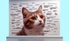 Cat Meme Guide for Achieving Feline Internet Stardom