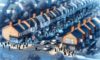 House Clearance Costs: Your Essential Guide to Negotiation in the UK