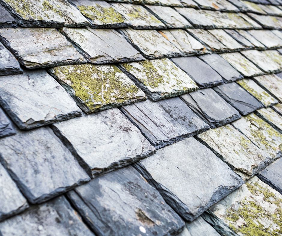 Slate Roof Repair: Key Signs Needing Immediate Action