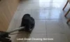 Grout Cleaners: Best Local Options Around Longcross