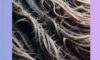 Proven Solutions for Reversing Heat Damage Effectively