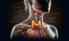 Thyroid Blood Test: Quick and Reliable Service in Aylesbury