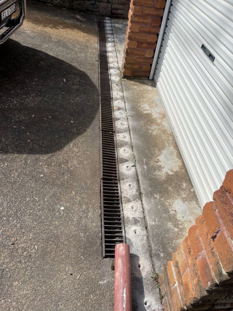 Termite Protection: How to Find Coverage for Your Home