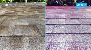 Understanding the Differences Between House Washing Techniques