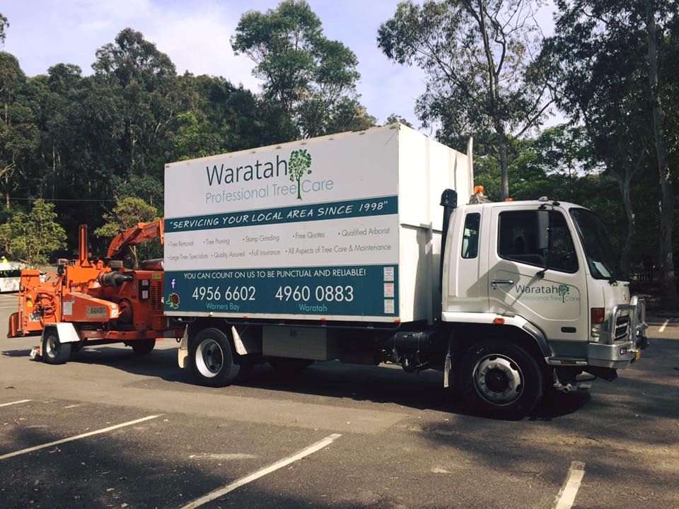 Tree services in Newcastle