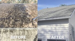 Unlock the Essential Benefits of Soft Washing for Optimal Home Maintenance