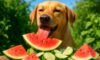 Seasonal Diet Adjustments for Pets: Vital Health Tips