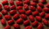 Dried Barberries: Authentic Persian Recipes to Try