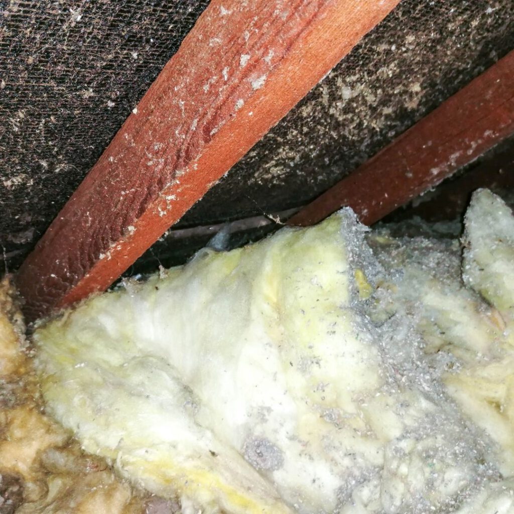 Asbestos Concerns: Essential Tips for Skip Hire Services