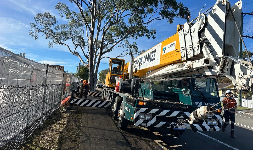 Crane-Assisted Tree Removal: A Case Study from Edgeworth