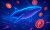 Whale Wallet Tracking: Techniques for Effective Monitoring
