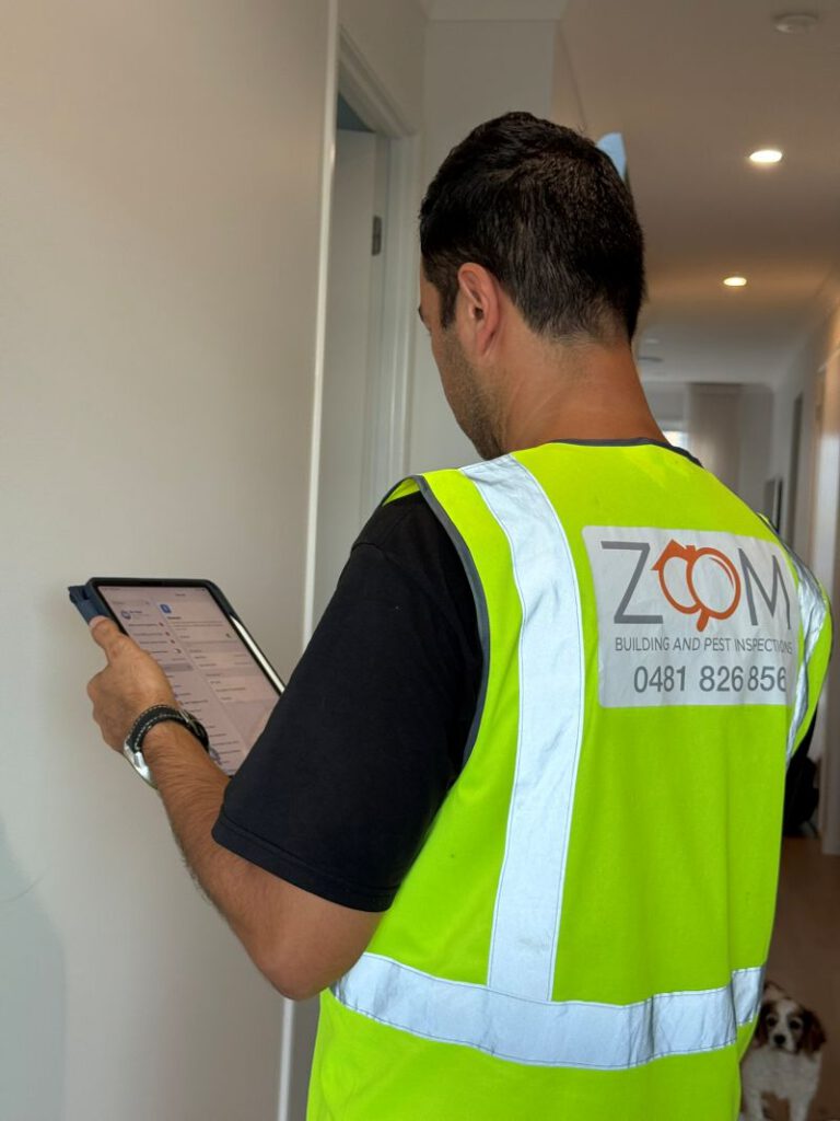 Building and Pest Inspection: A Comprehensive Guide for Brisbane