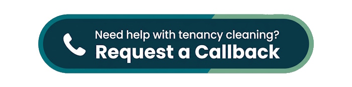 Professional Standards in Rental Property Cleans