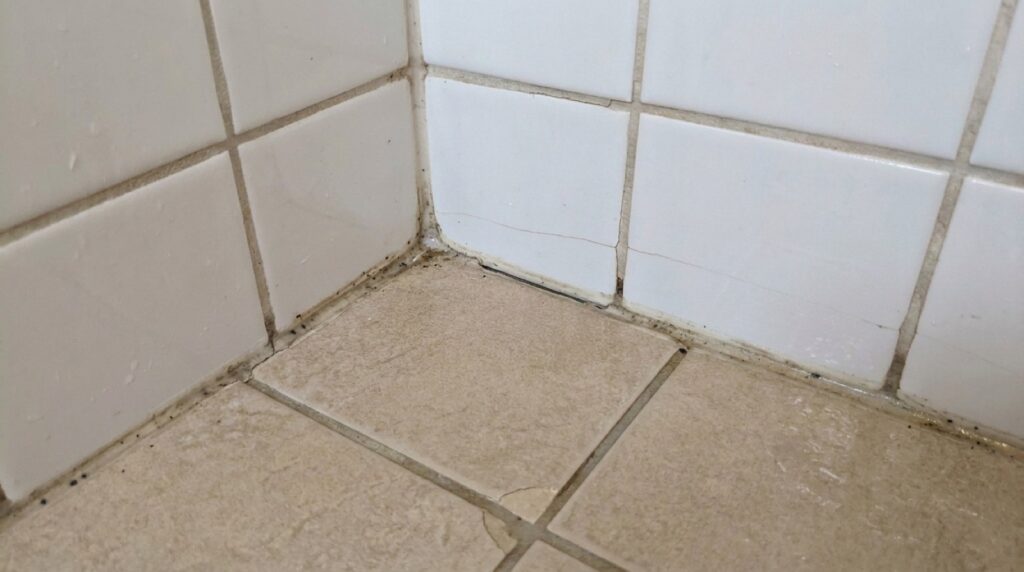 Shower Reseal: A Lasting Solution or Just a Quick Fix?